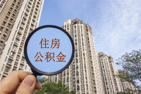 扶余离职可以取出公积金吗（离职可以取公积金嘛）